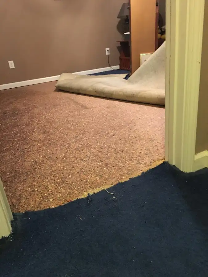 Carpet pad removal revealing water damage during Water Mitigation Services in CaÃ±on City